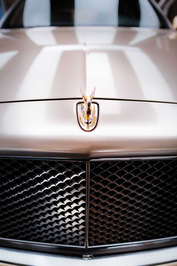 Gloss Metallic Gold Champagne X-M32