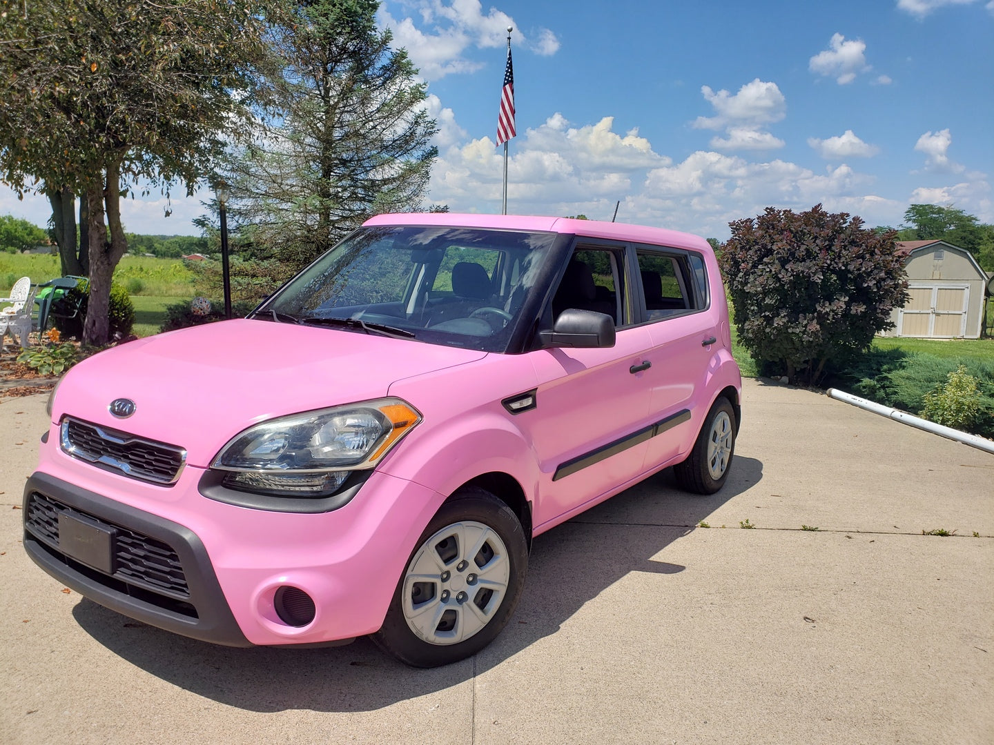 XPO Gloss: Pink — CWS USA