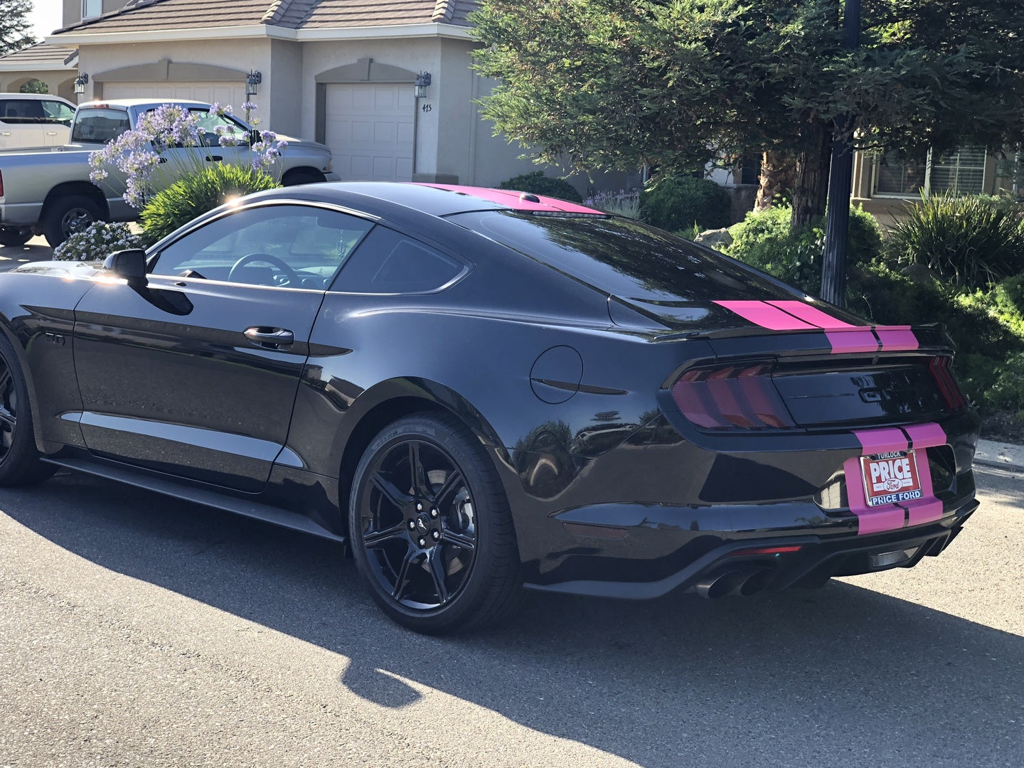 XPO Matte: Pink Magenta — CWS USA