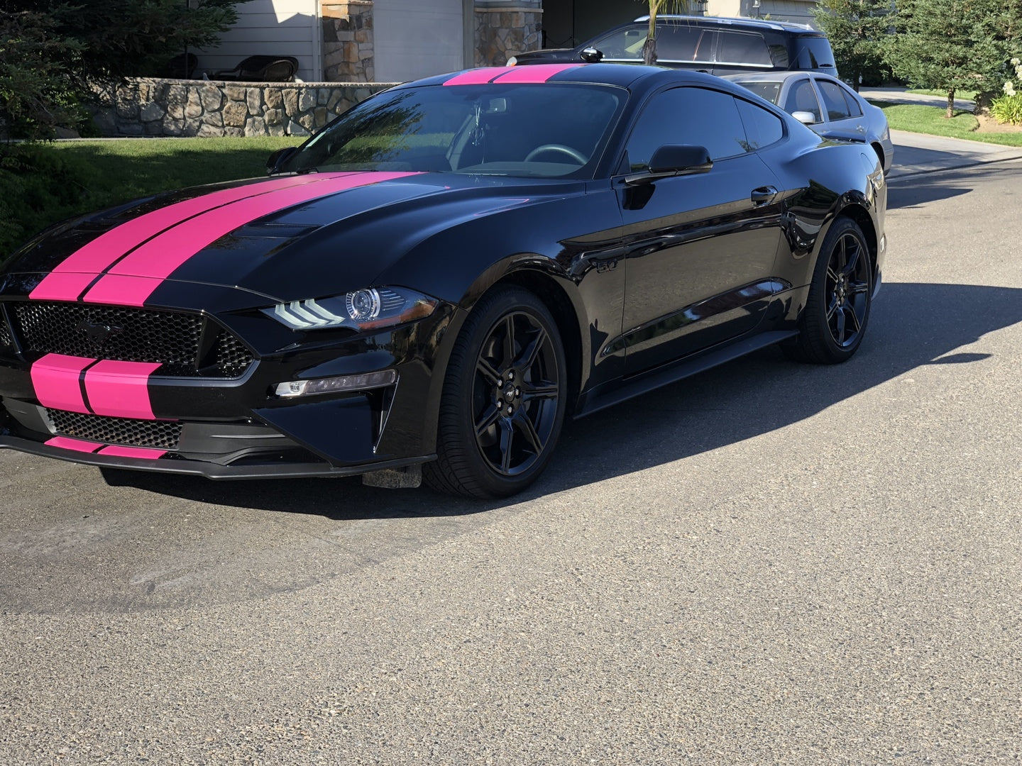 XPO Matte: Pink Magenta — CWS USA