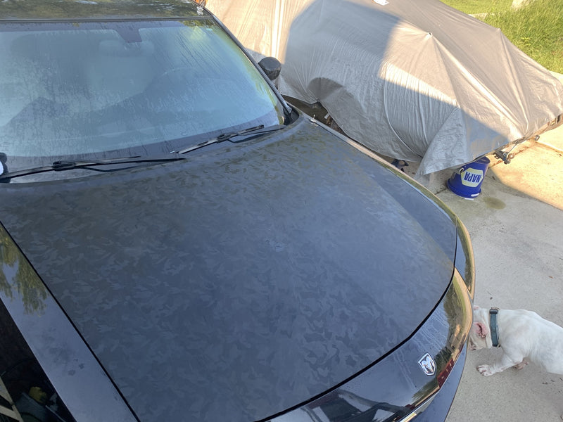 Black Stealth Camouflage Medium